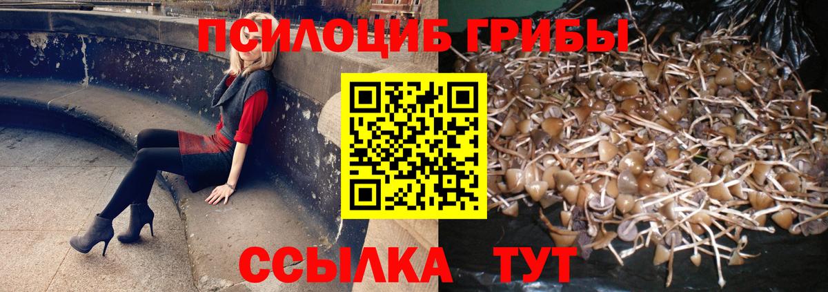 Псилоцибиновые грибы Psilocybine cubensis  Вход с VPN  Димитровград 
